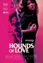 爱的猎犬 Hounds of Love 【2016】【剧情 / 惊悚 / 犯罪】【澳大利亚】